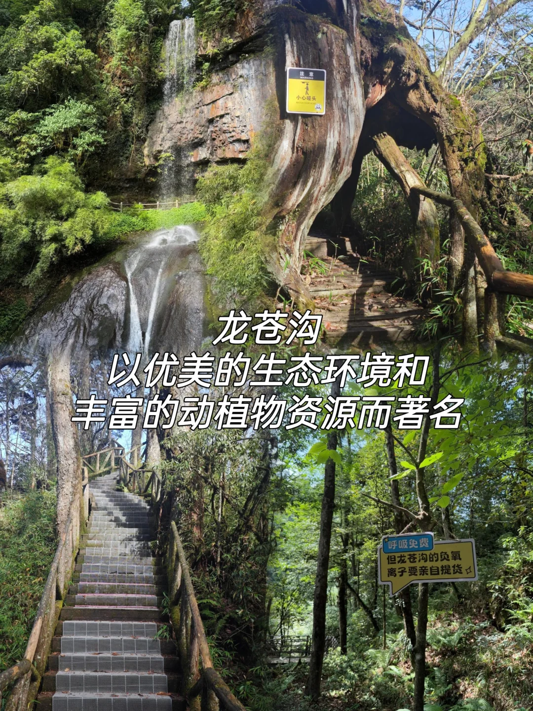 雅安必打卡景点|超全打卡攻略