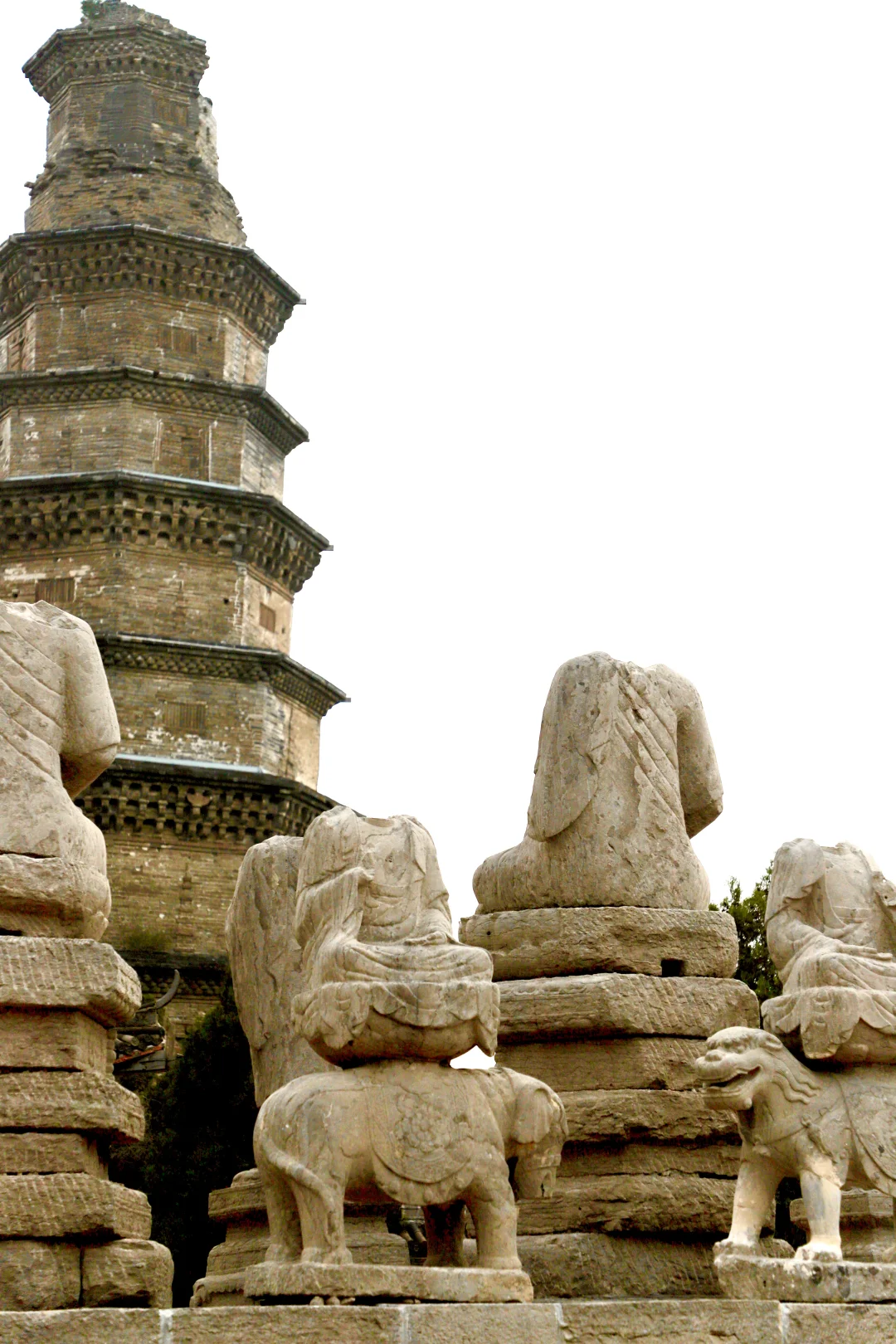 📷华夏杂志封面故事| 邯郸常乐寺的石上菩提