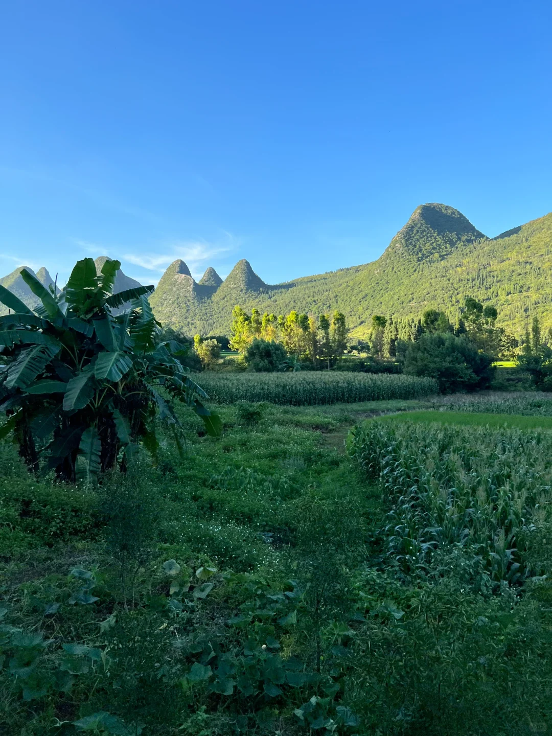 贵州这个地方…真实存在吗？太美了！