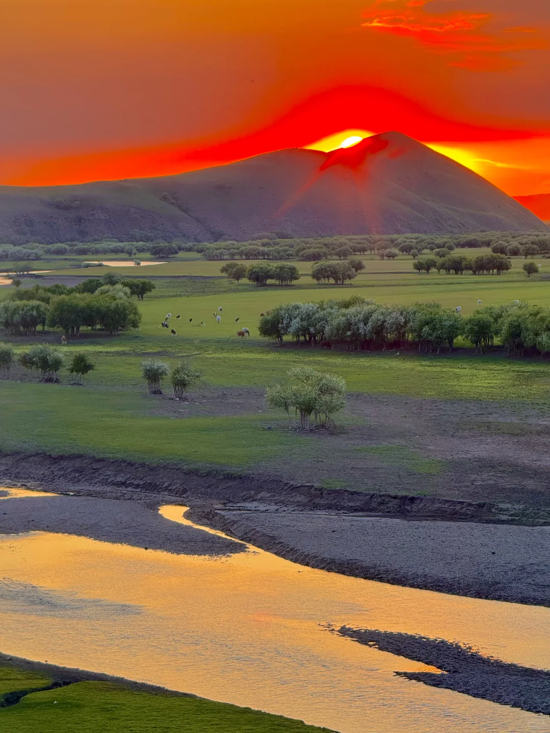 以为新疆够美了，直到我去了呼伦贝尔…
