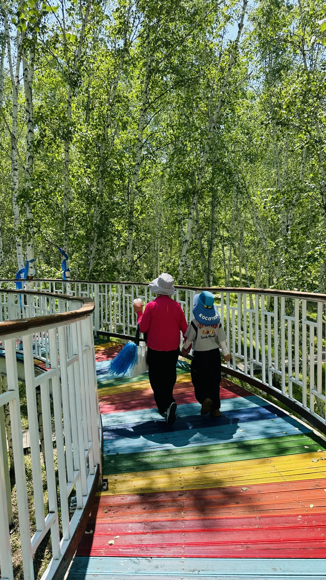 额尔古纳白桦林