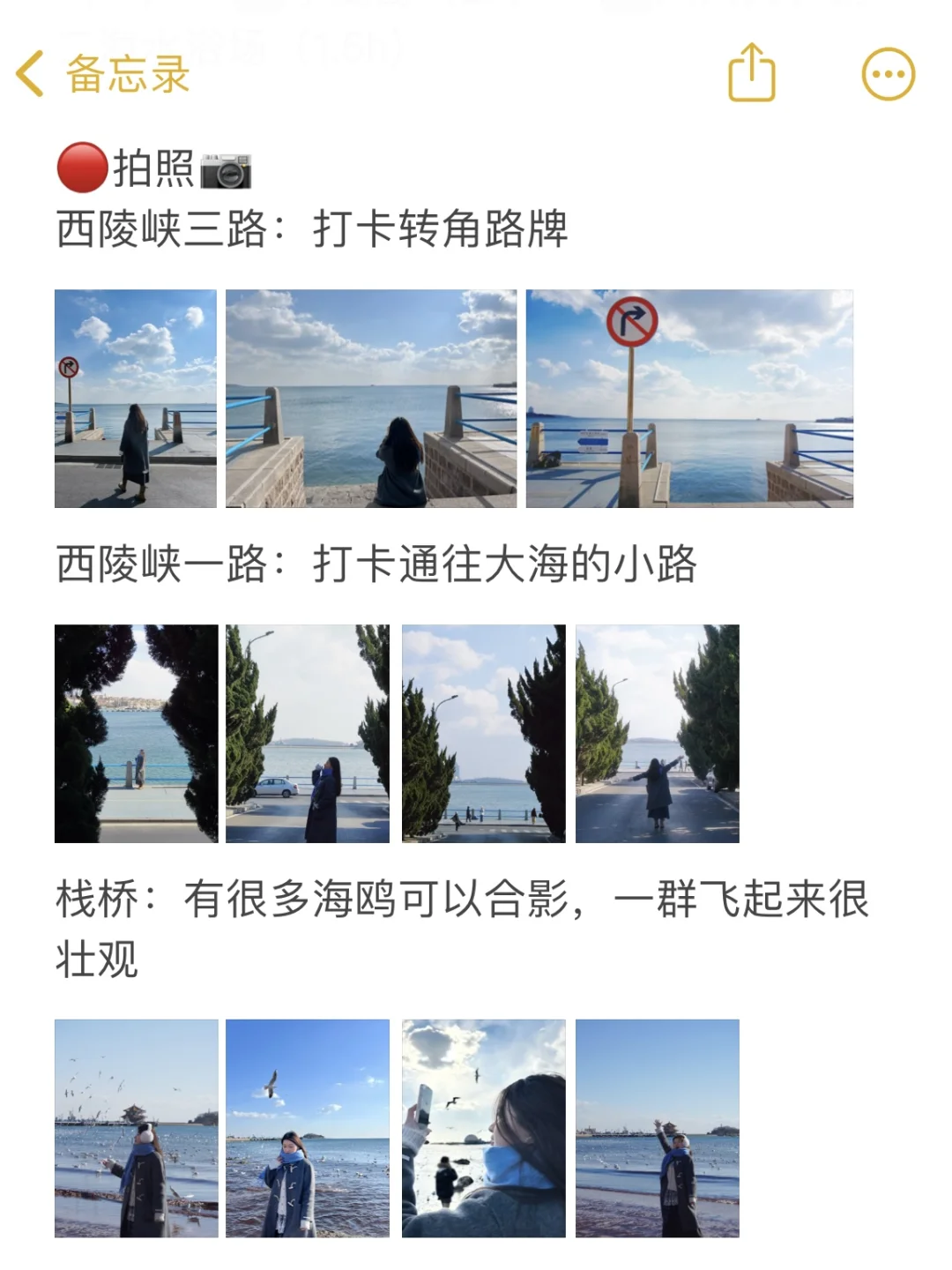 山东5天4晚详细版攻略🌊青岛威海烟台pick谁