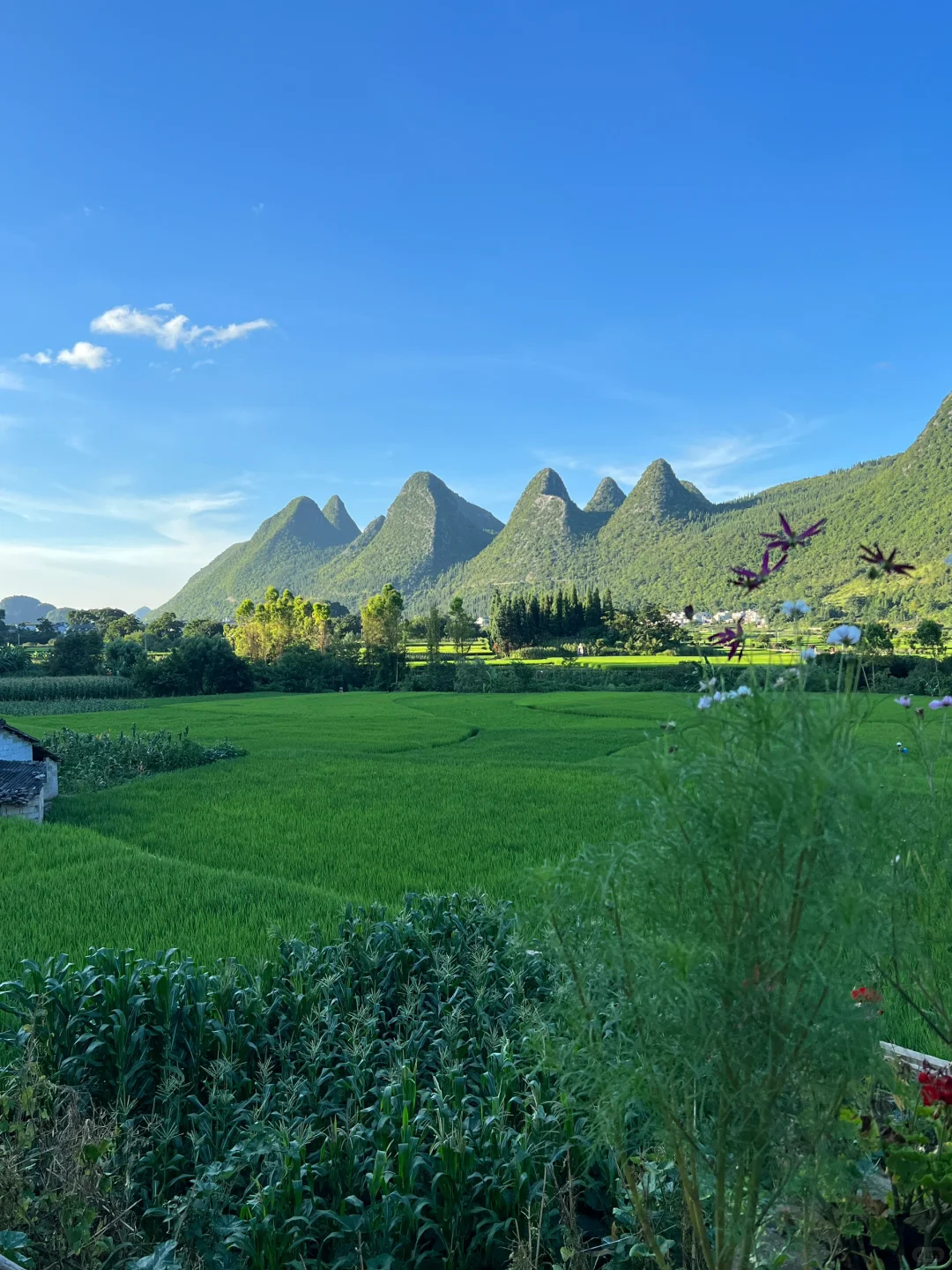 贵州这个地方…真实存在吗？太美了！