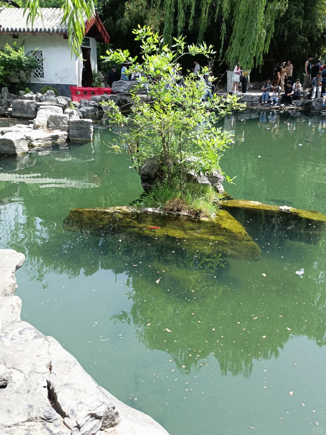 小城济南的1️⃣日游