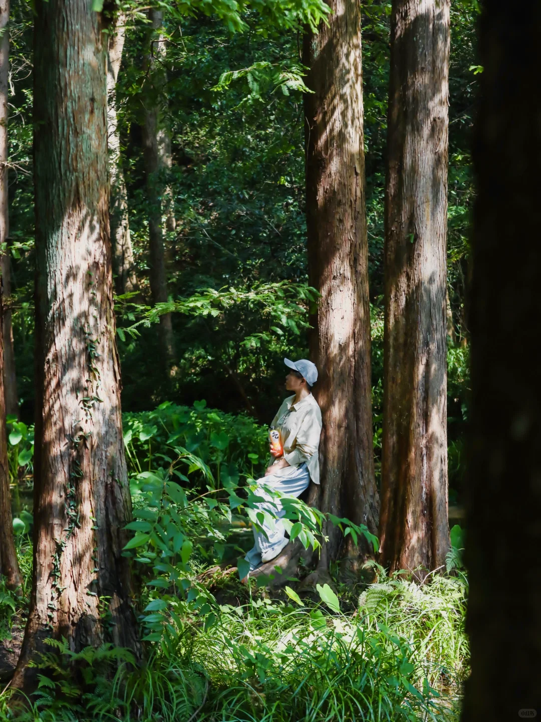 来杭州别挤西湖，灵隐寺！听我的！本地人！