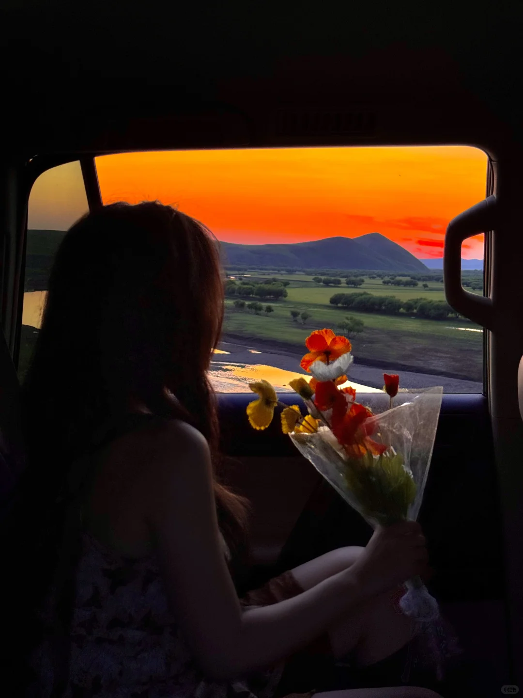 内蒙已回！坚决不删，能劝一个是一个......