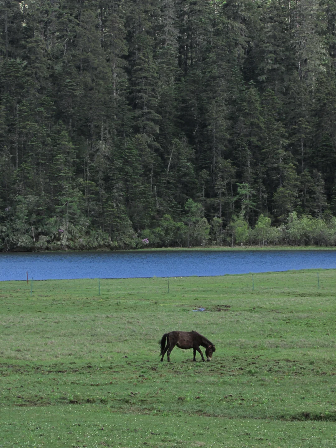 普达措｜轻松美丽，国家公园就是我的信仰