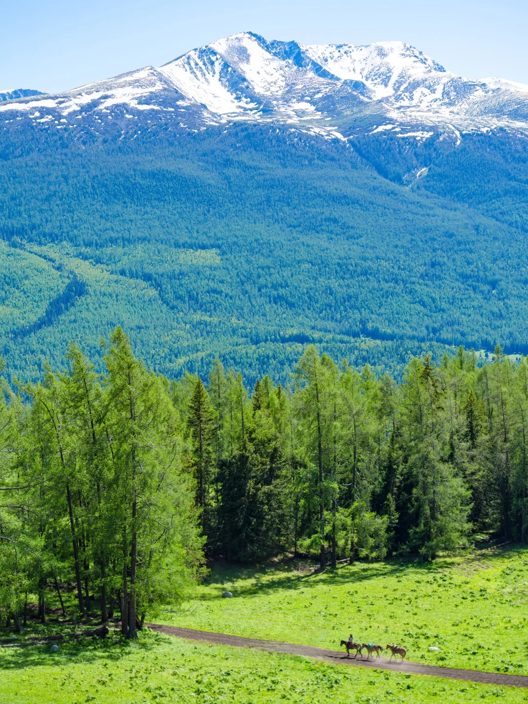 总要去一次新疆，看一次梦中的阿勒泰吧！！