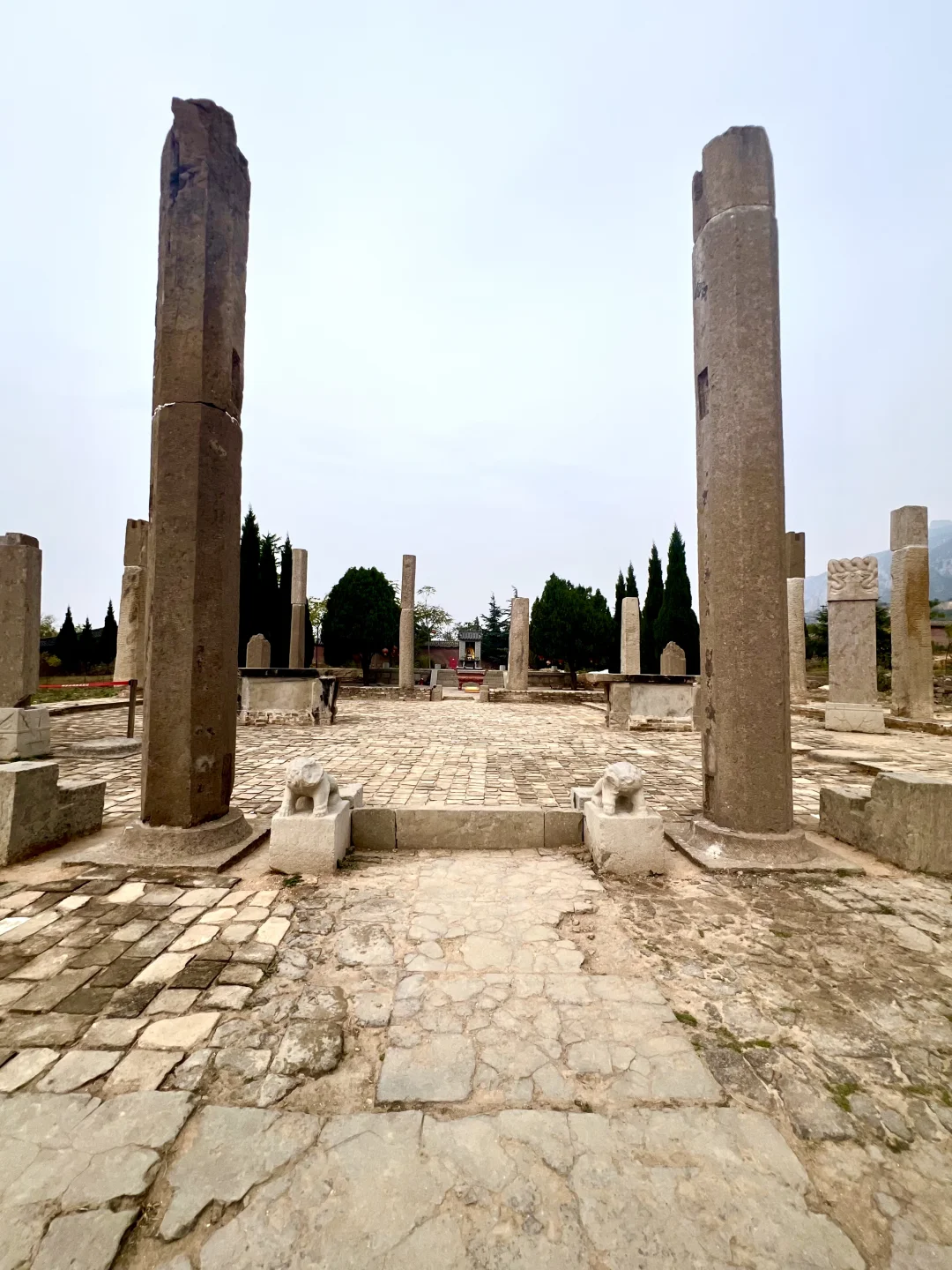 📷华夏杂志封面故事| 邯郸常乐寺的石上菩提