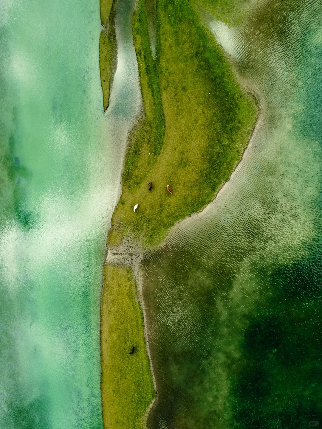 以为九寨沟够美了“直到来了这个小众🌙秘境”