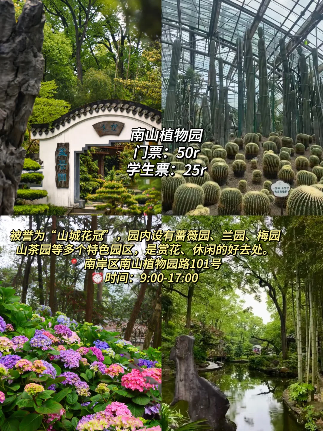 高考结束不要浪费准考证！重庆篇