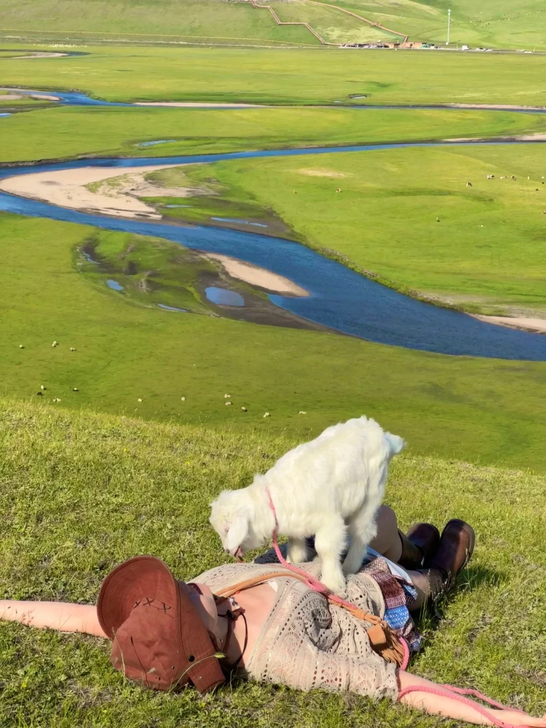 朋友圈被问疯了.不是瑞士新西兰❗在我大内蒙