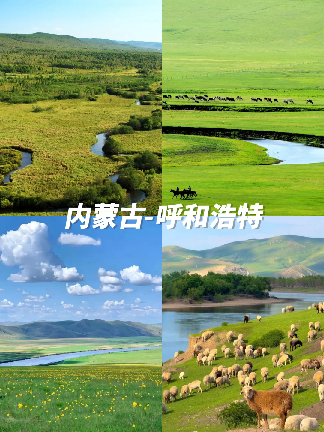 不想暴晒❗6-8月必去的10个国内小众旅行✈️