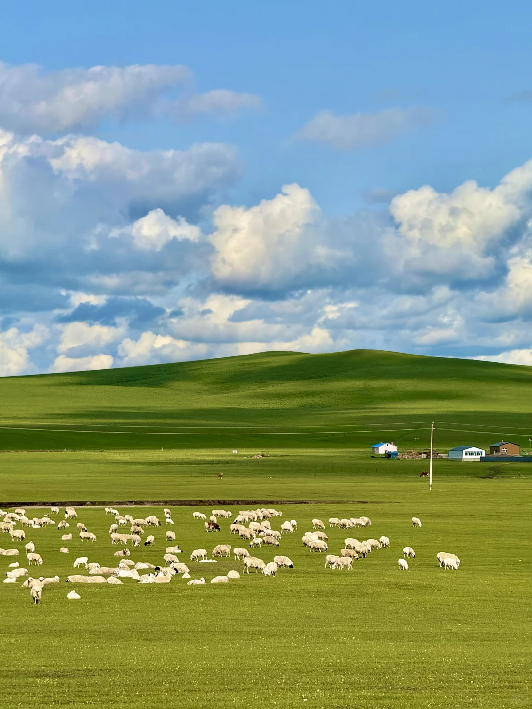 为了这18张live图!我飞到了内蒙古!值得吗?