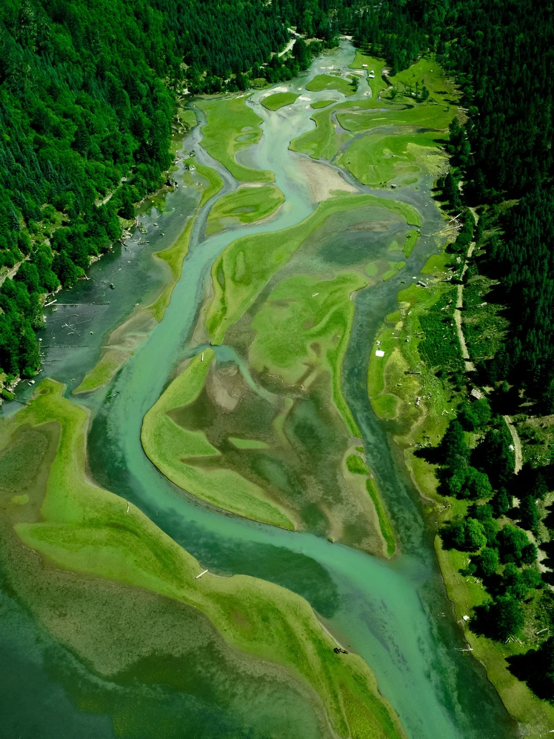 以为九寨沟够美了“直到来了这个小众🌙秘境”