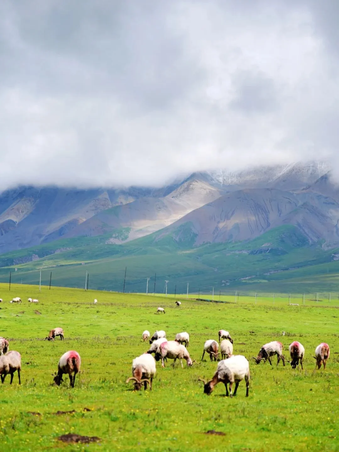 下一站大西北📍被称为“中国马尔代夫”