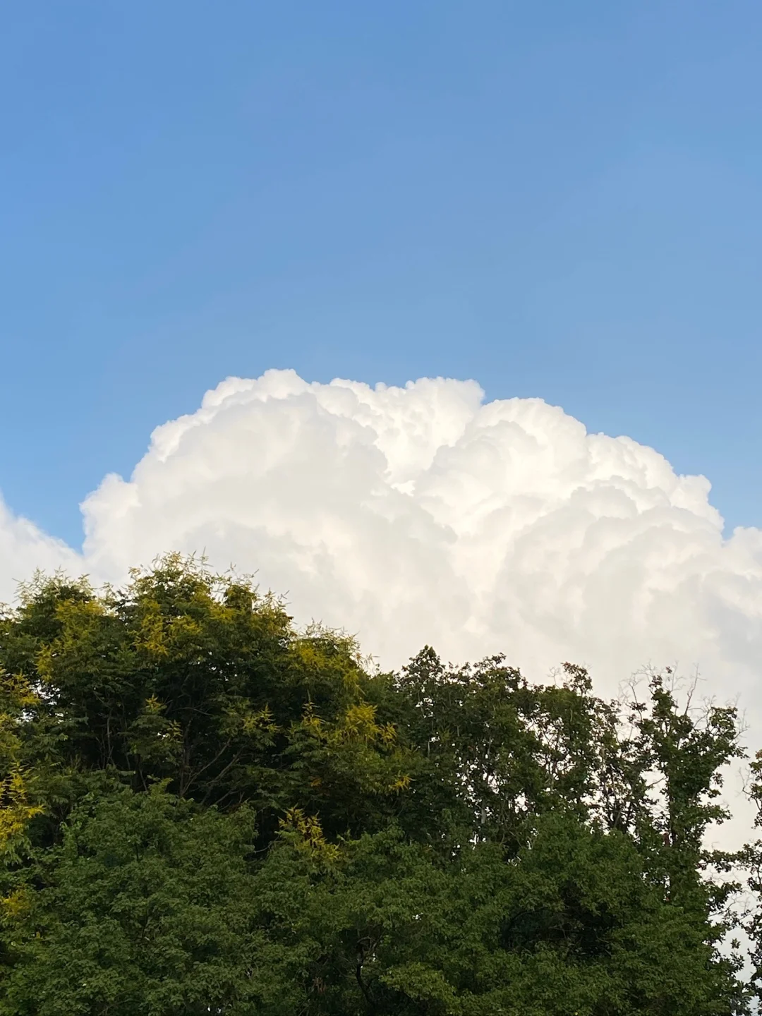 南京旅游攻略(中)