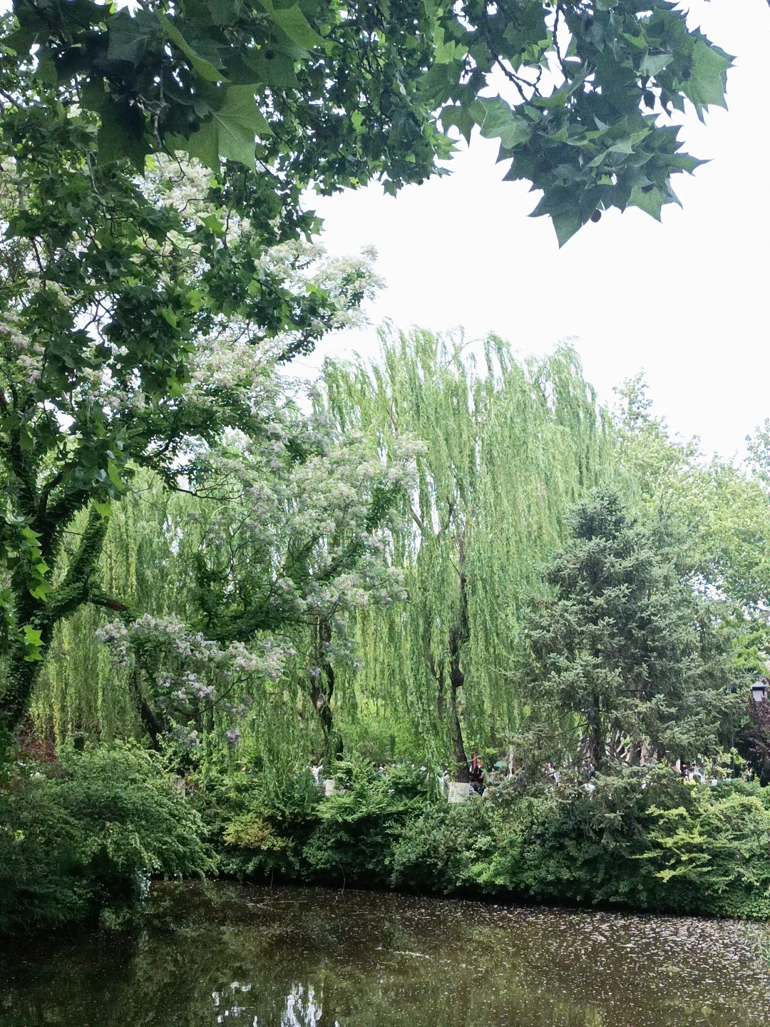 小城济南的1️⃣日游