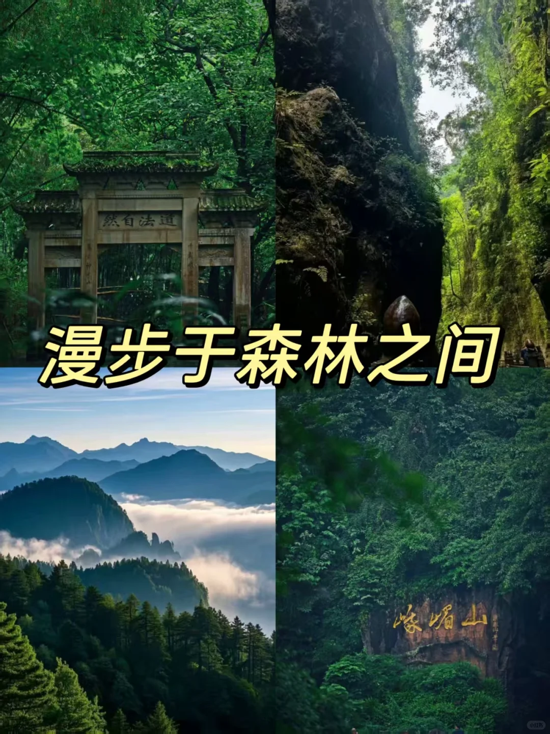 峨眉山旅游攻略|去过的人嘴巴太严了吧！