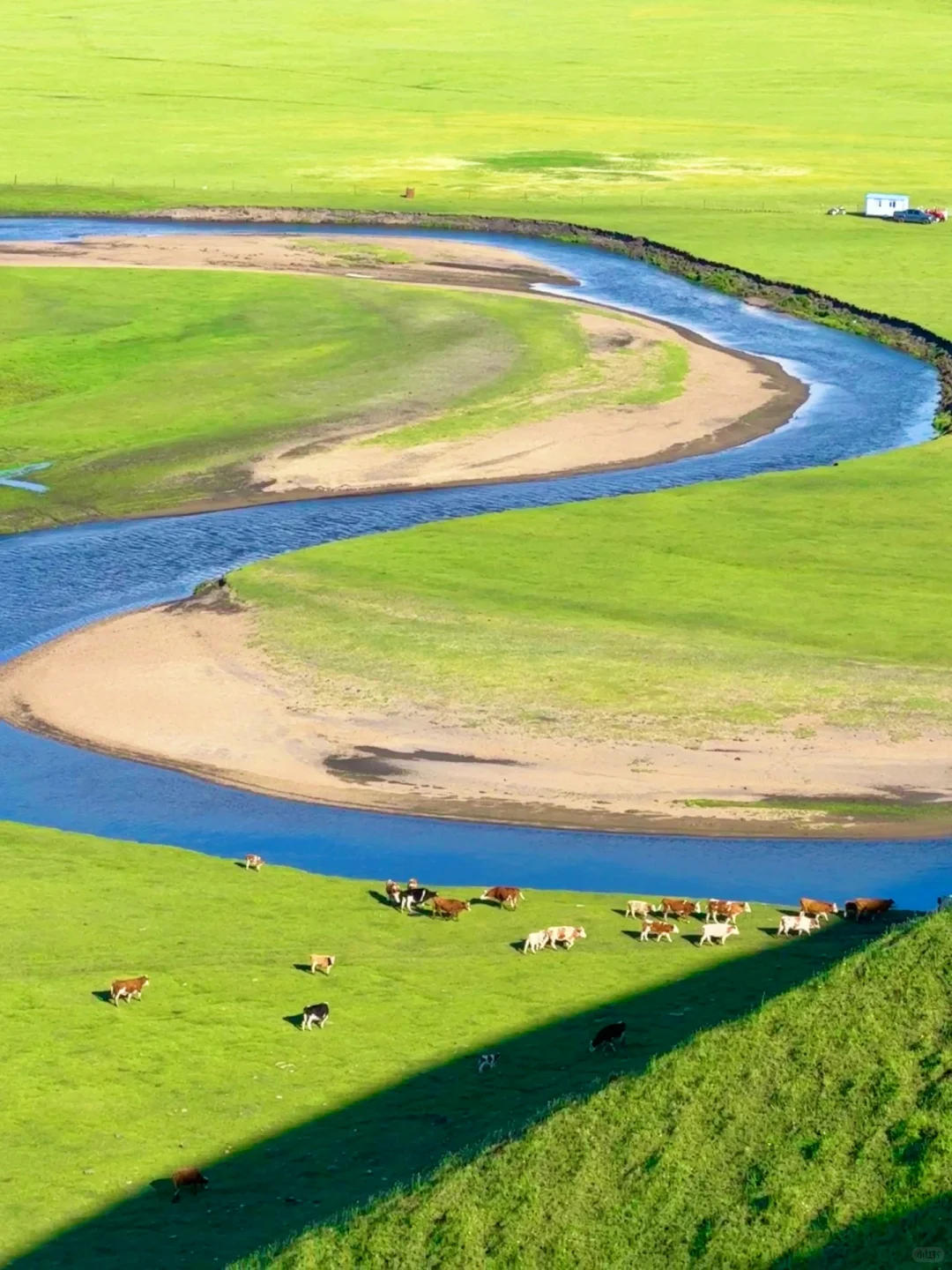 朋友圈被问疯了.不是瑞士新西兰❗在我大内蒙