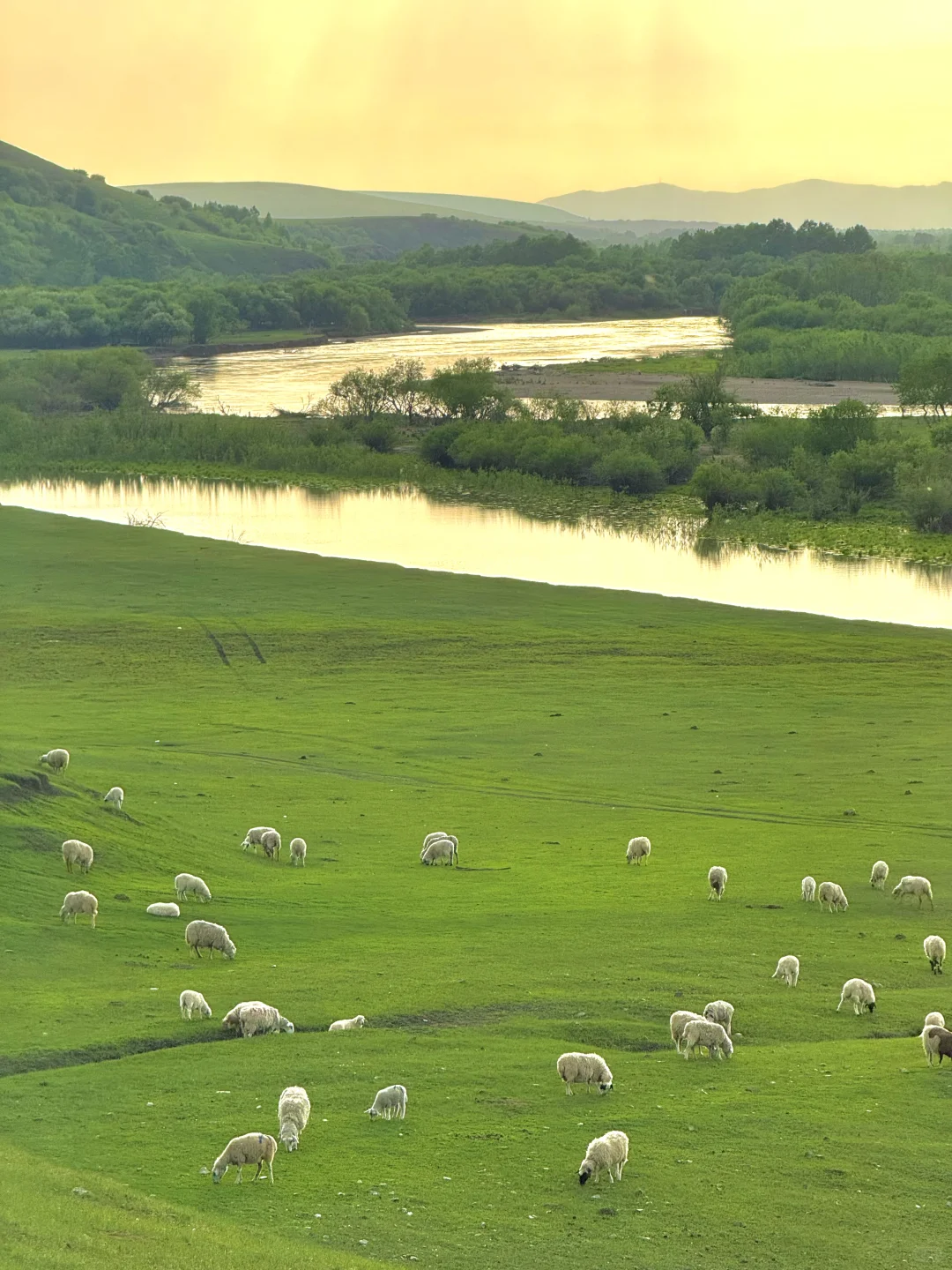 以为新疆够美了，直到我去了呼伦贝尔…