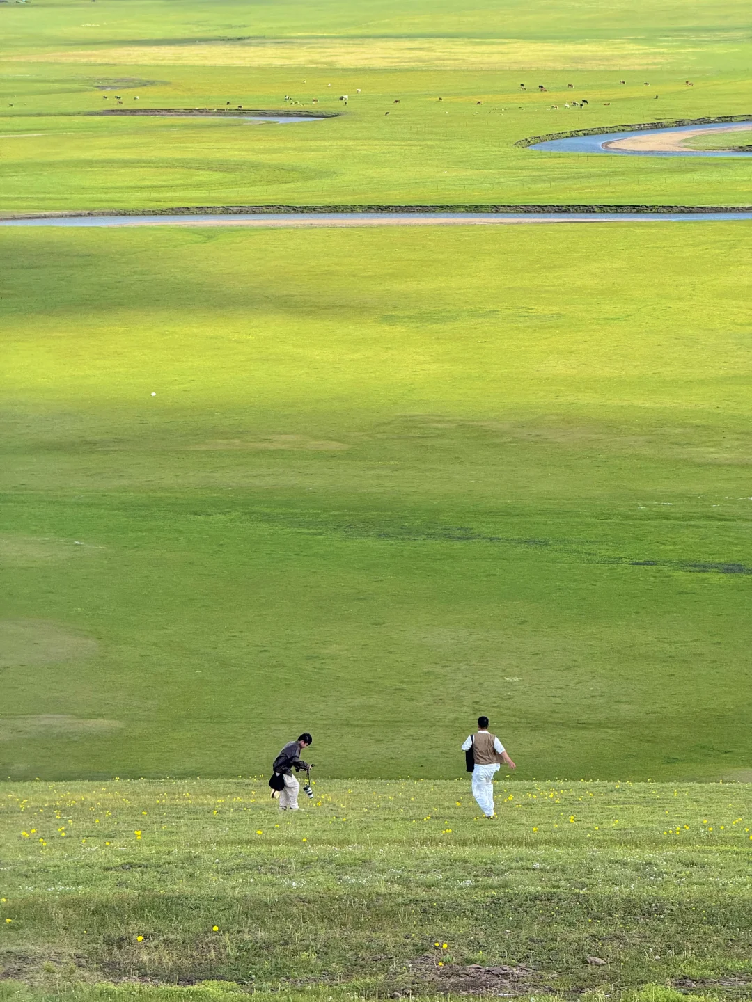 以为新疆够美了，直到我去了呼伦贝尔…