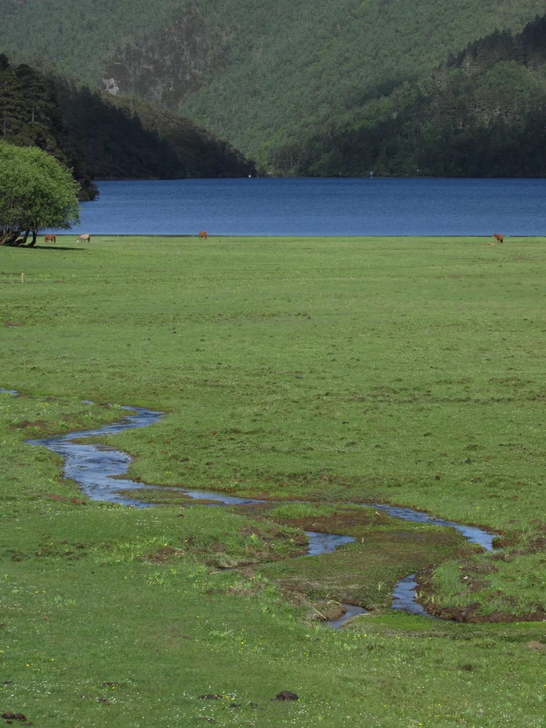 普达措｜轻松美丽，国家公园就是我的信仰