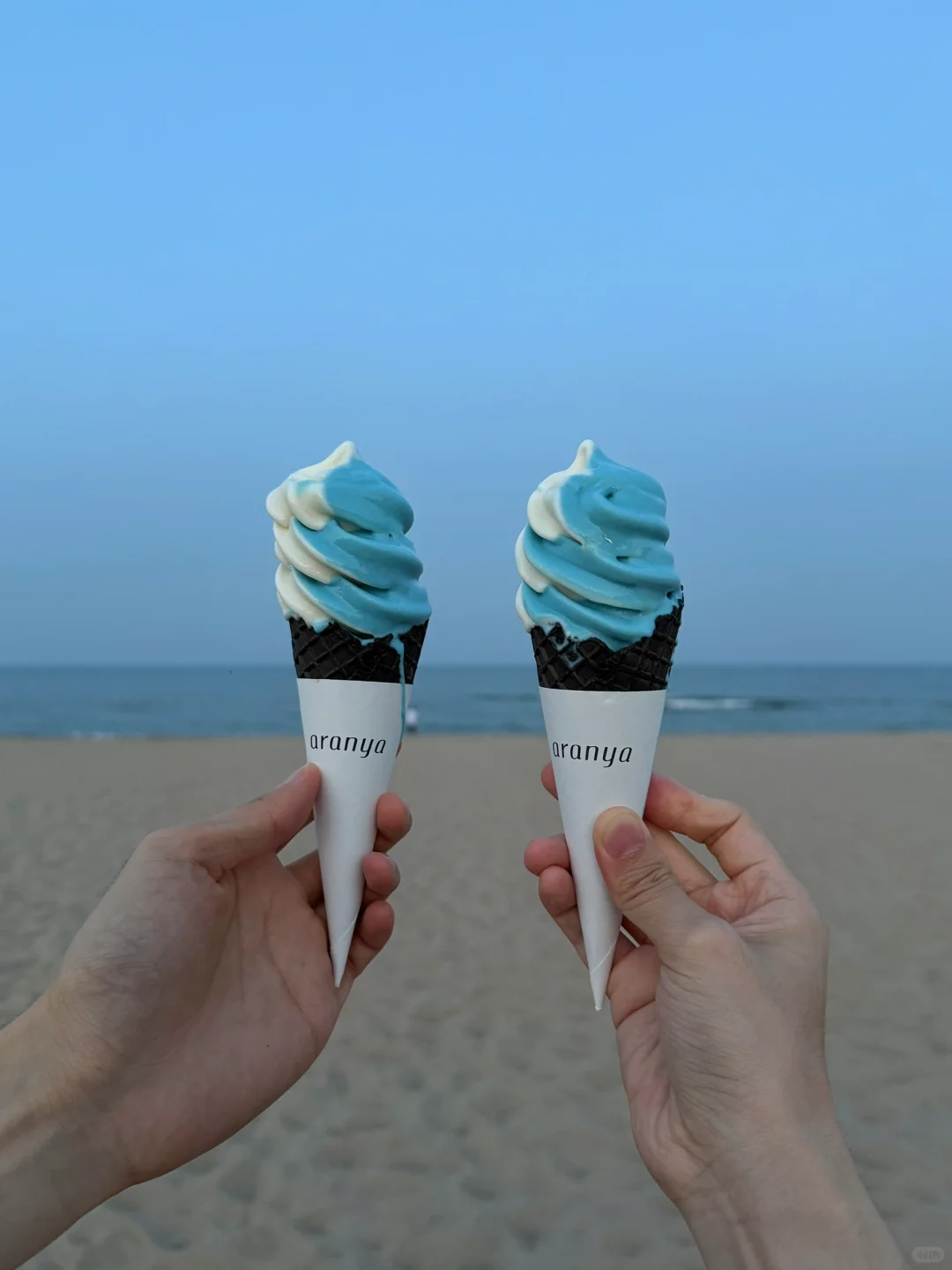 𝐴𝑟𝑎𝑛𝑦𝑎｜短暂的逃离一会生活🌊