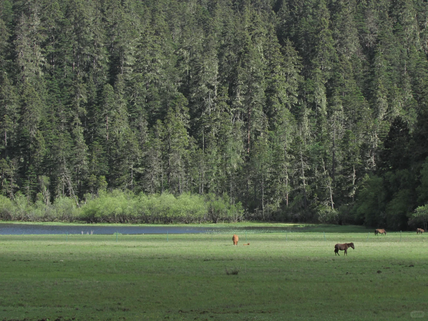 普达措｜轻松美丽，国家公园就是我的信仰