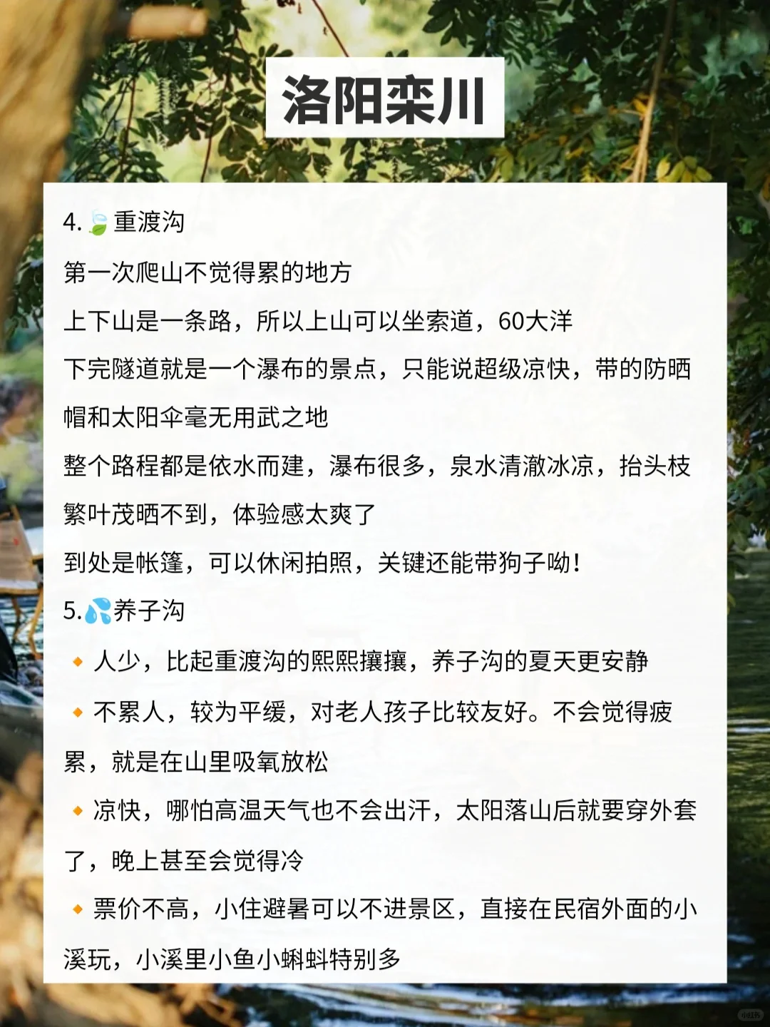 河南人有自己的避暑胜地🍃夏天不用开空调