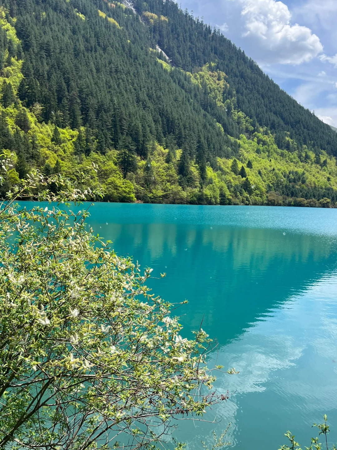 无锡-九寨沟2天攻略｜5.3体验感很好