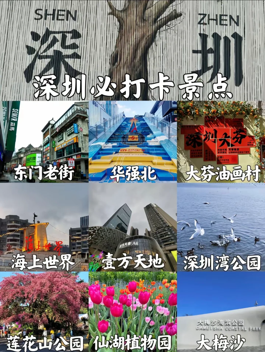 深圳必打卡的景点～