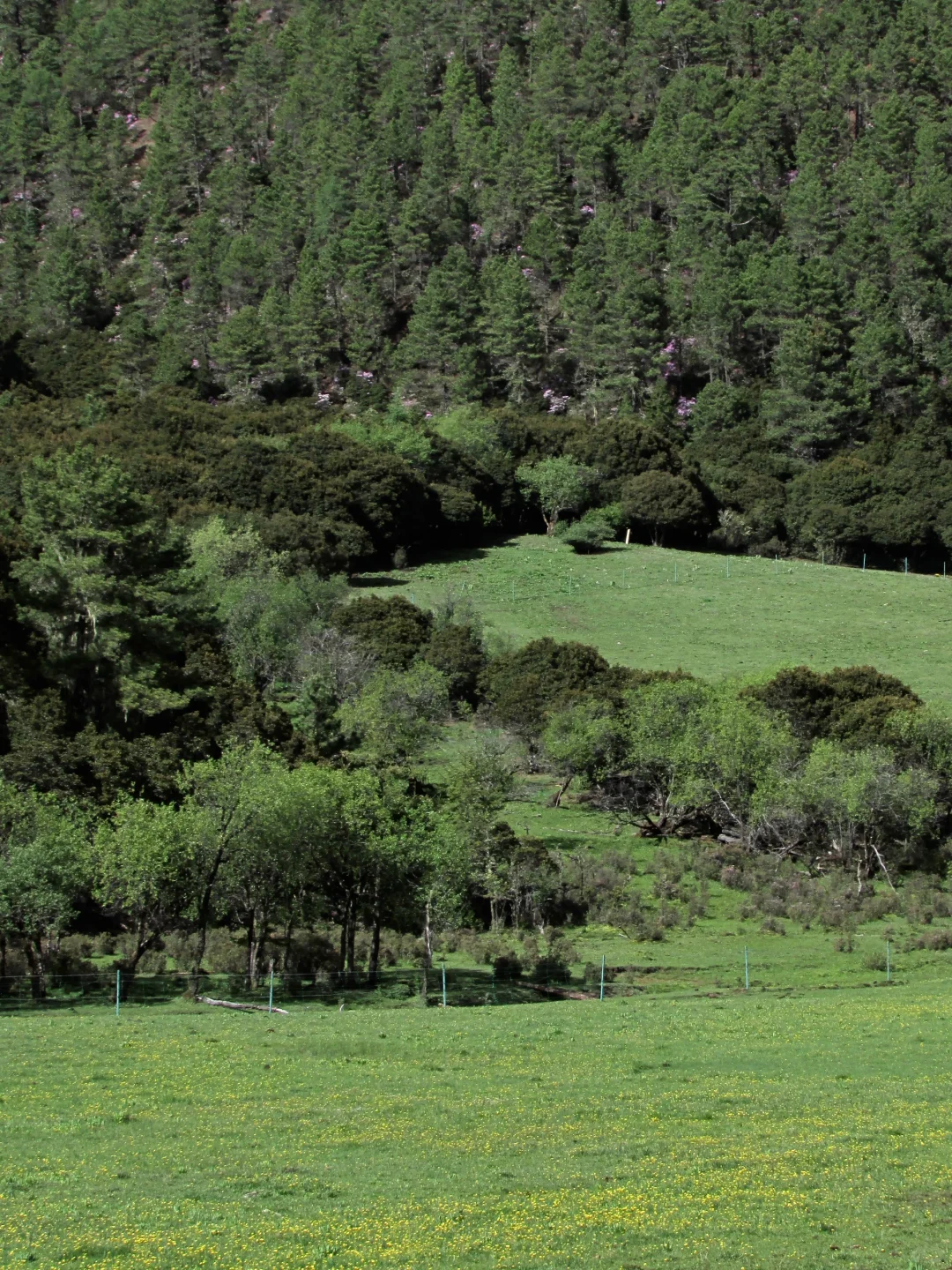 普达措｜轻松美丽，国家公园就是我的信仰