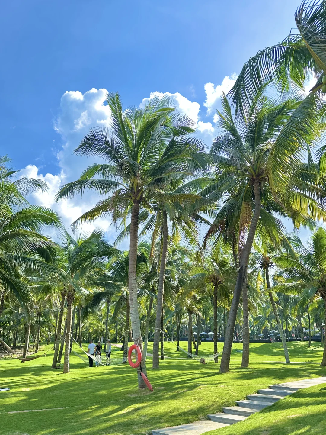 三亚真的要封神了。。。。。。。。。