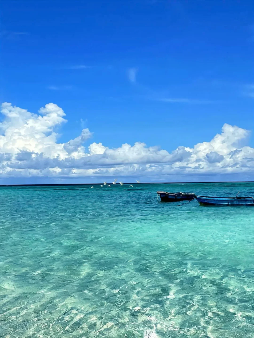 比马尔代夫还美的西沙群岛一定要去！