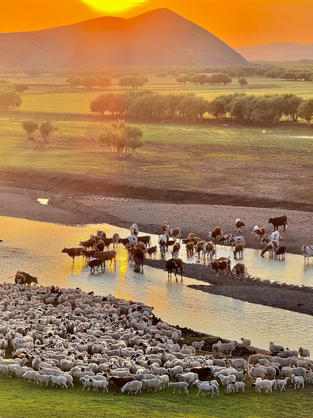 内蒙已回！坚决不删，能劝一个是一个......