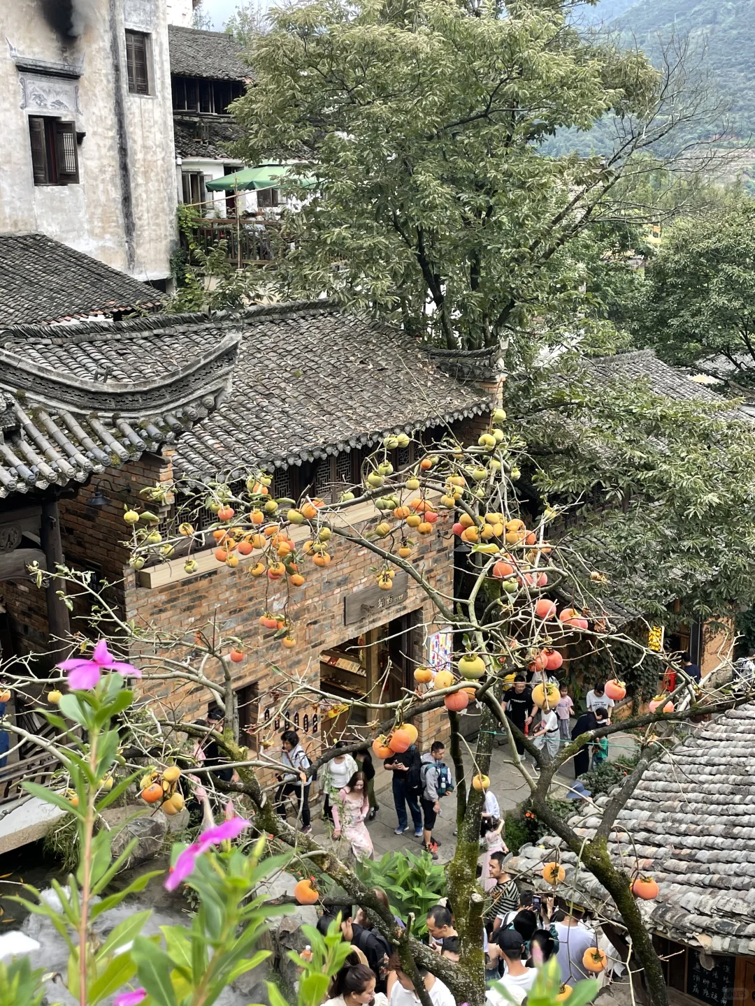 婺源实况无滤镜到底什么样