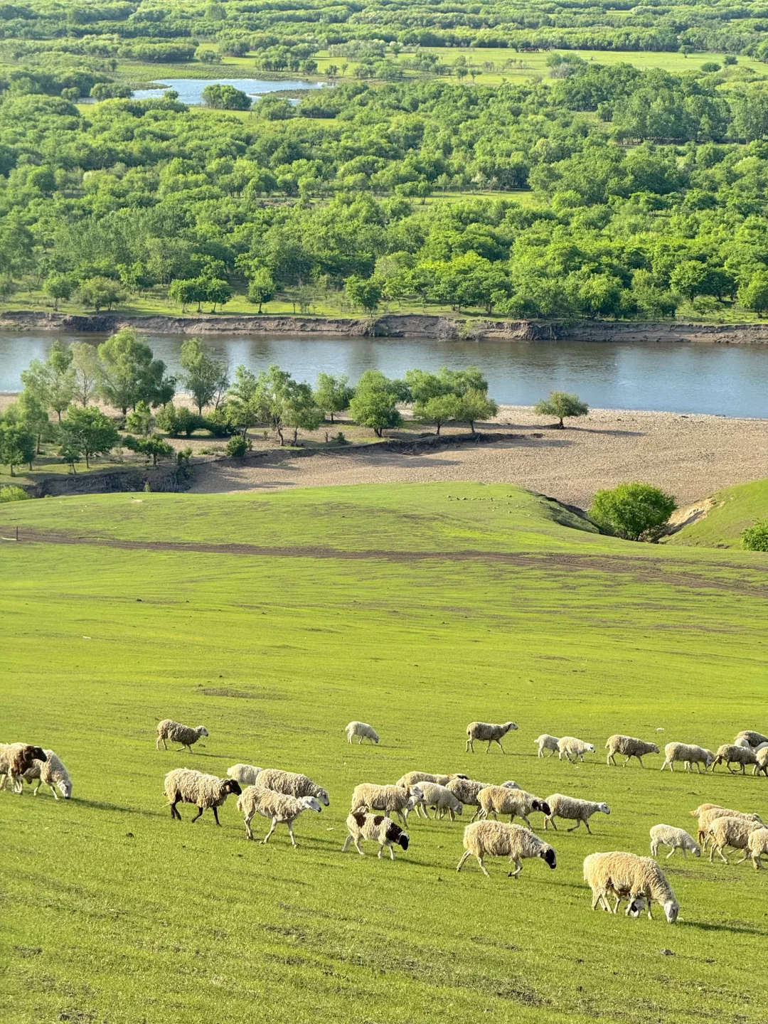 以为新疆够美了，直到我去了呼伦贝尔…
