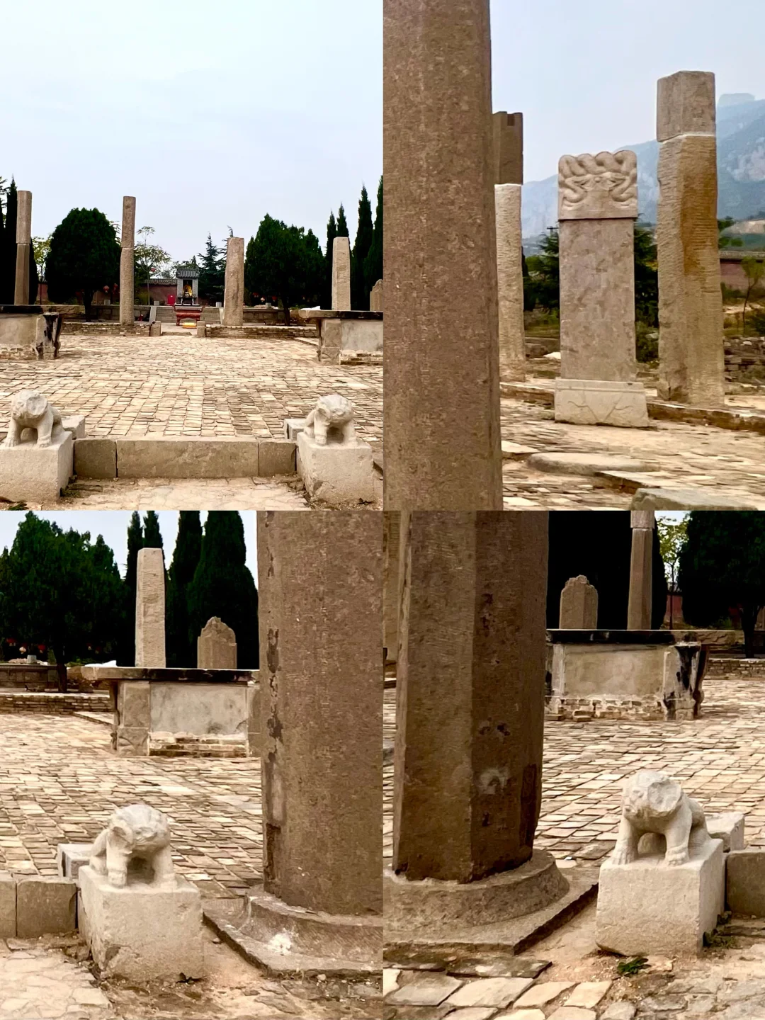 📷华夏杂志封面故事| 邯郸常乐寺的石上菩提