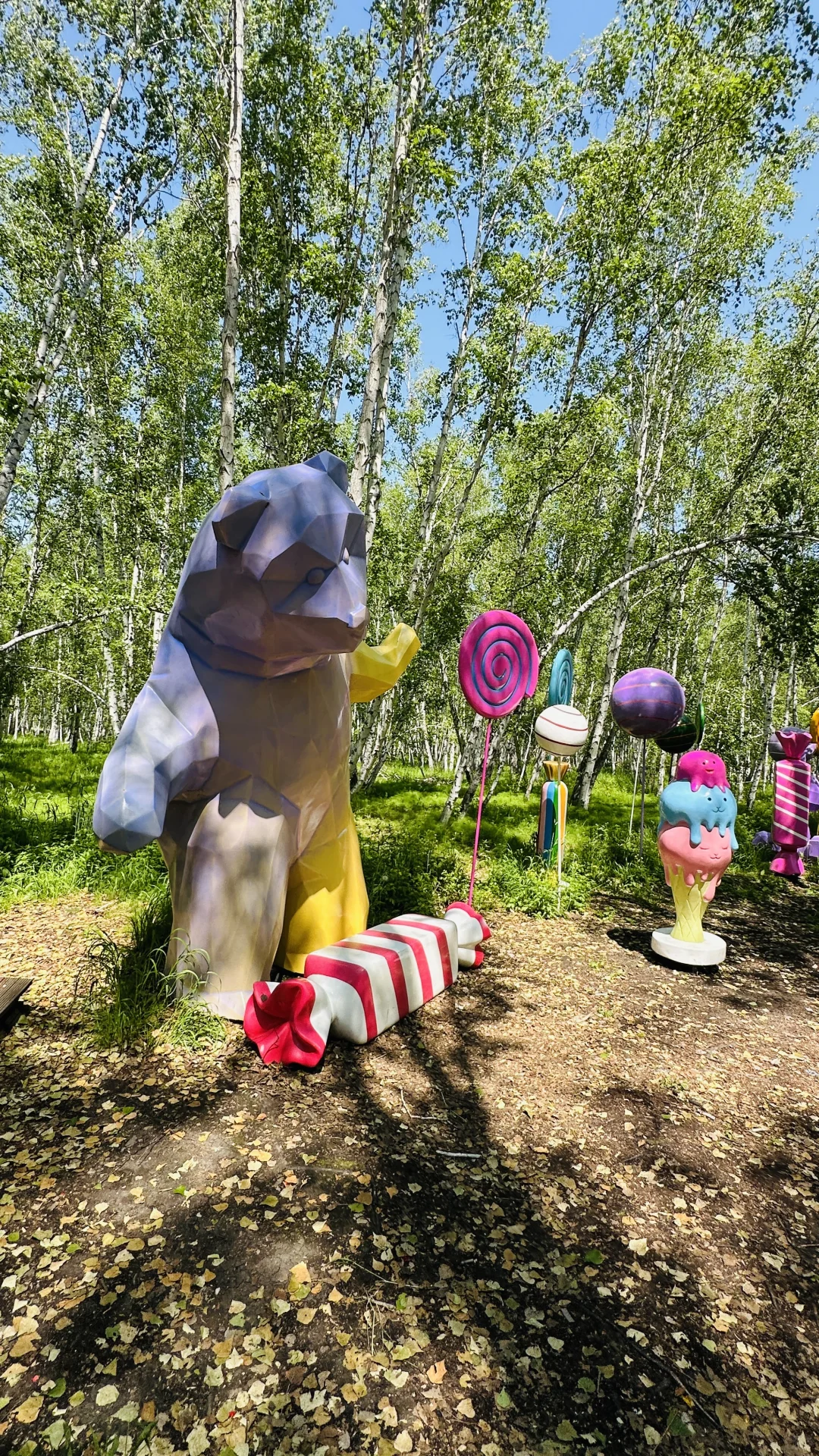 额尔古纳白桦林