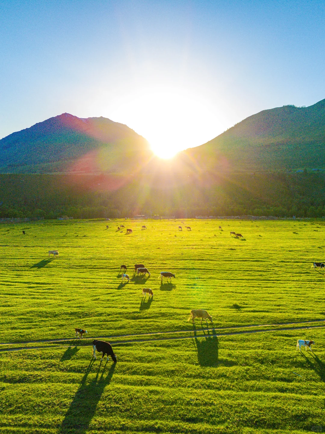 总要去一次新疆，看一次梦中的阿勒泰吧！！
