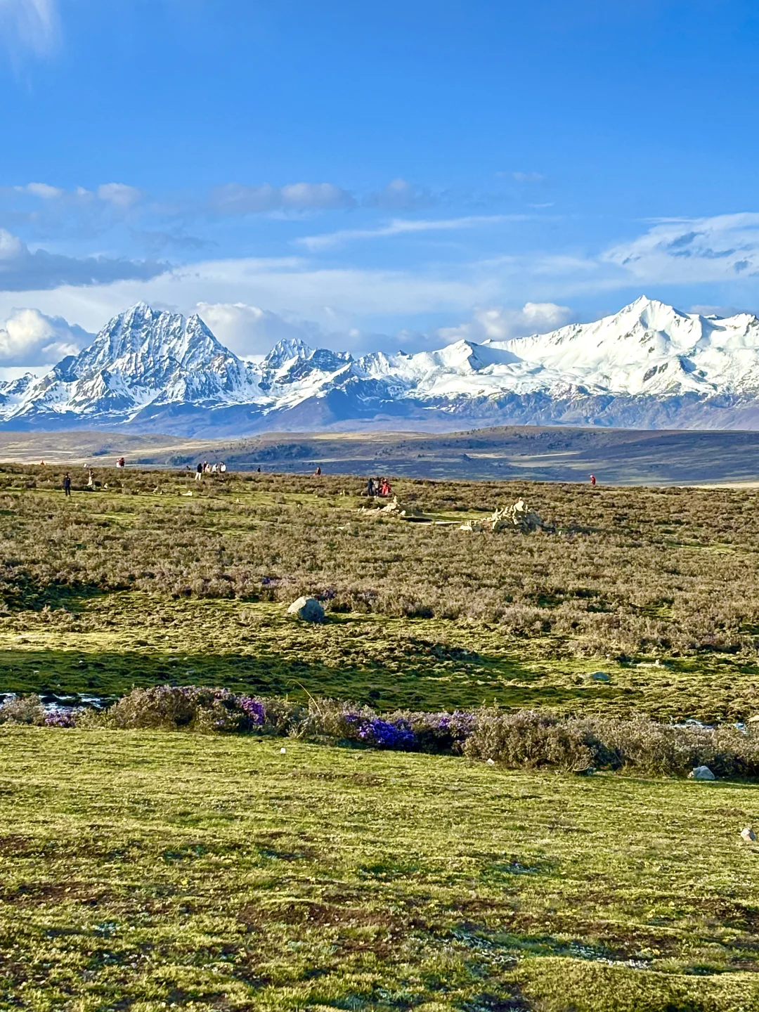 川西的夏天根本不用滤镜……美哭了😭！！附攻略