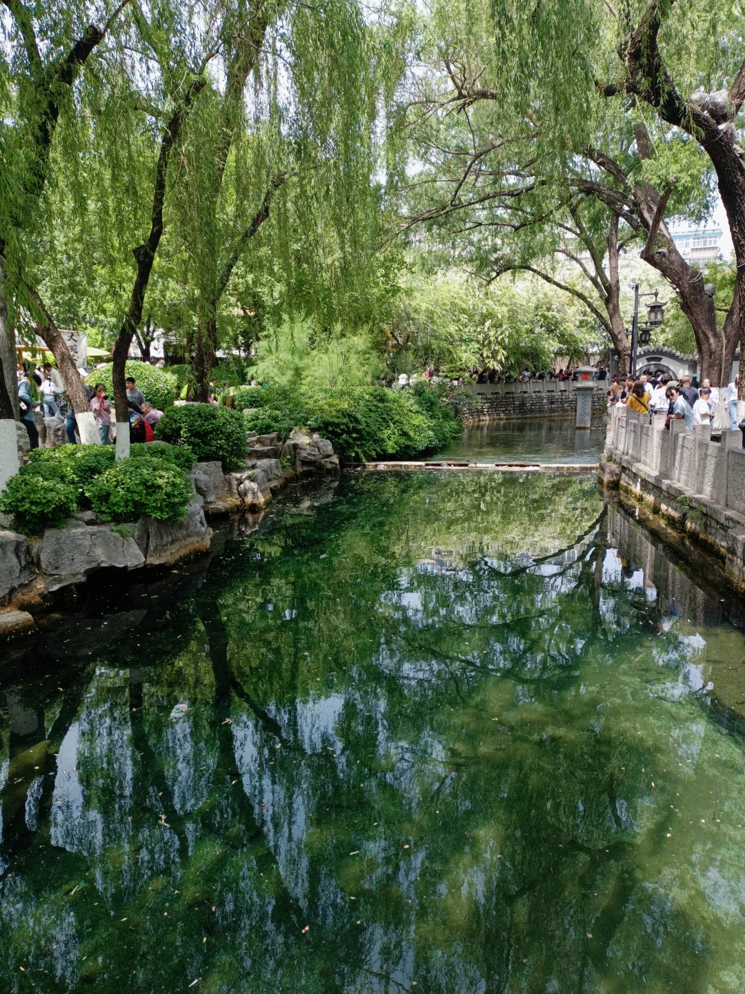 小城济南的1️⃣日游