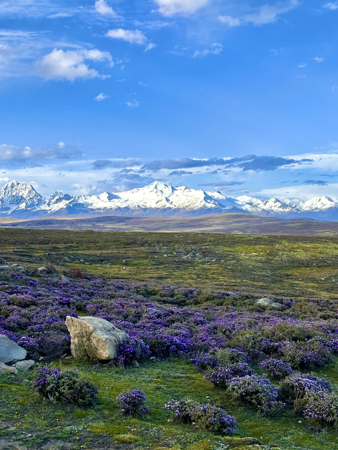 川西的夏天根本不用滤镜……美哭了😭！！附攻略