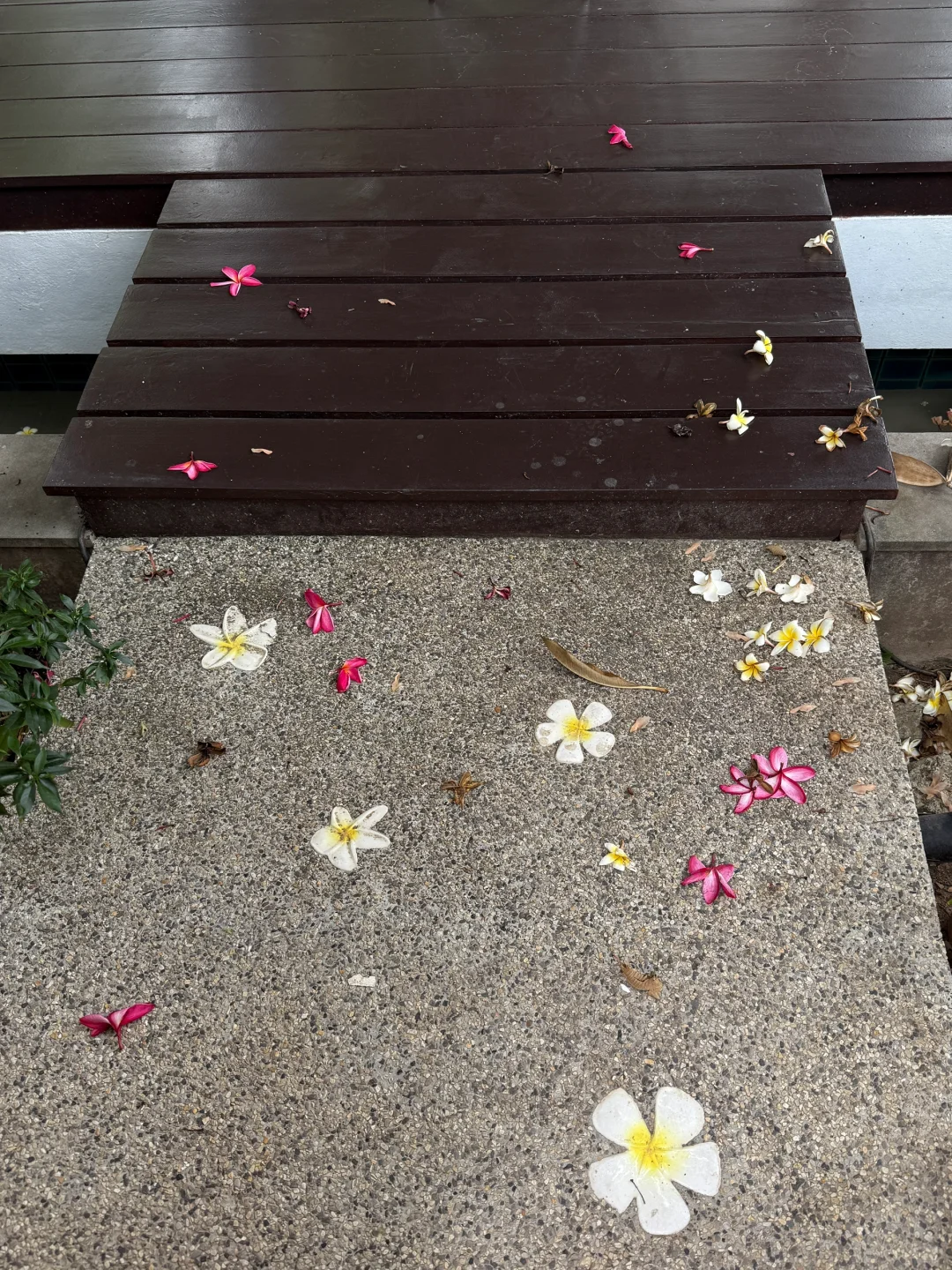 Phuket dump 🩵˚𓇼 𓂂𓈒𓏸