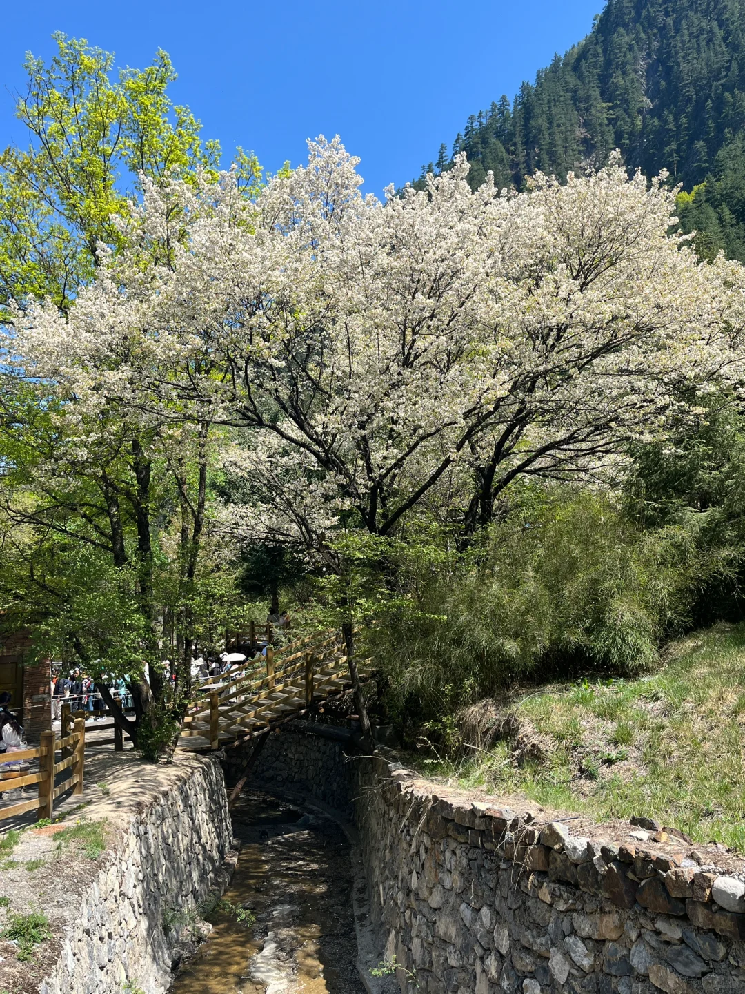 无锡-九寨沟2天攻略｜5.3体验感很好