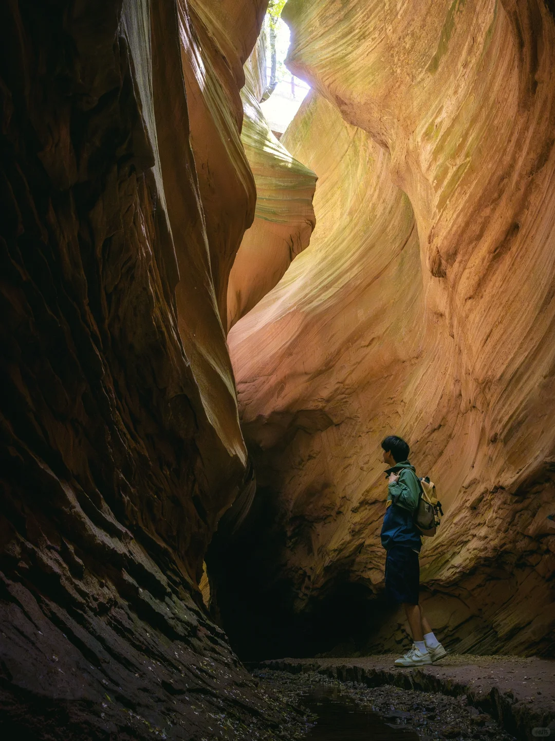 国内羚羊谷❗️为了这组照片我特意飞了趟陕西