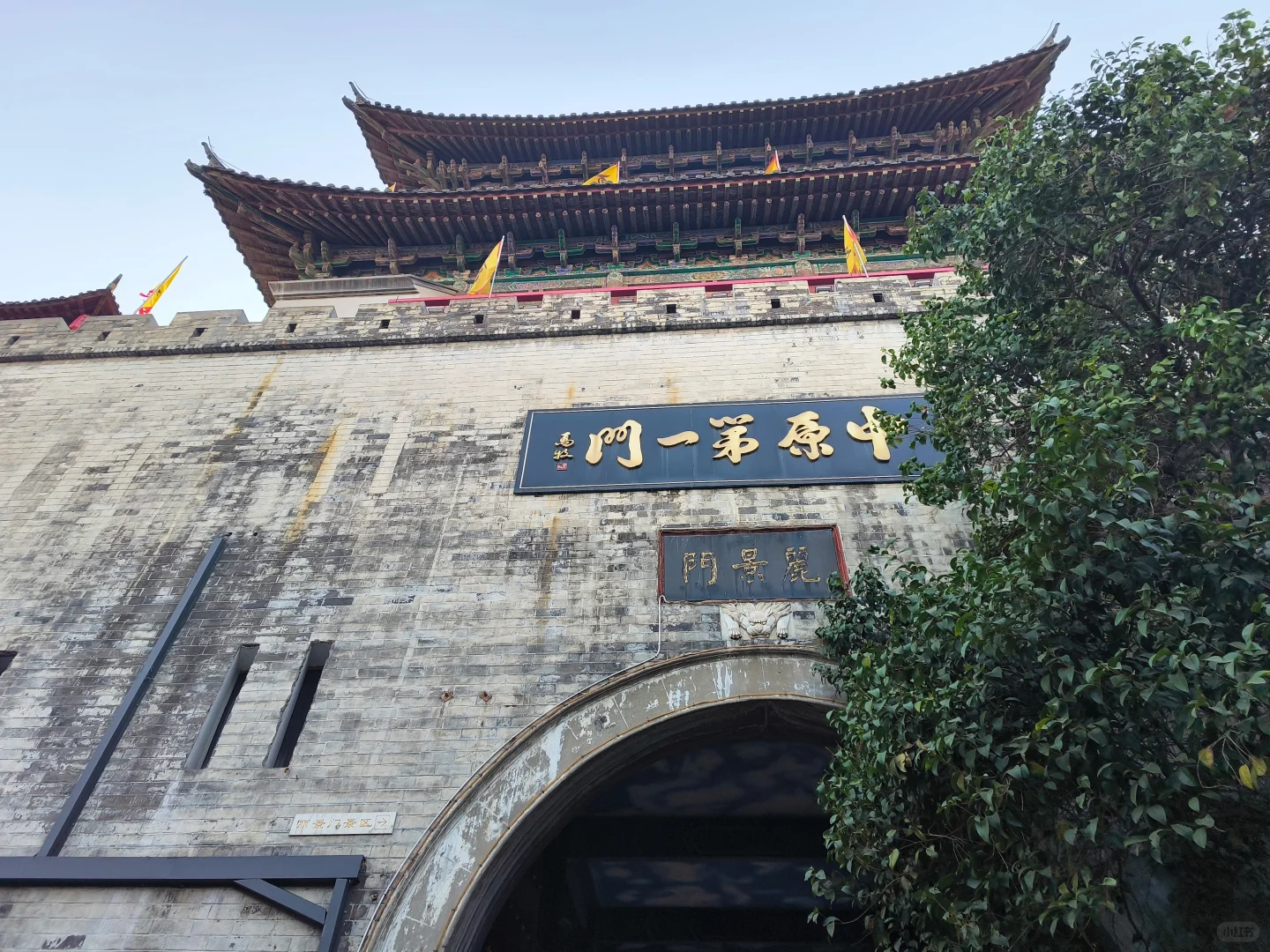 洛阳三天两夜游❗️别白跑本地人带你这么玩