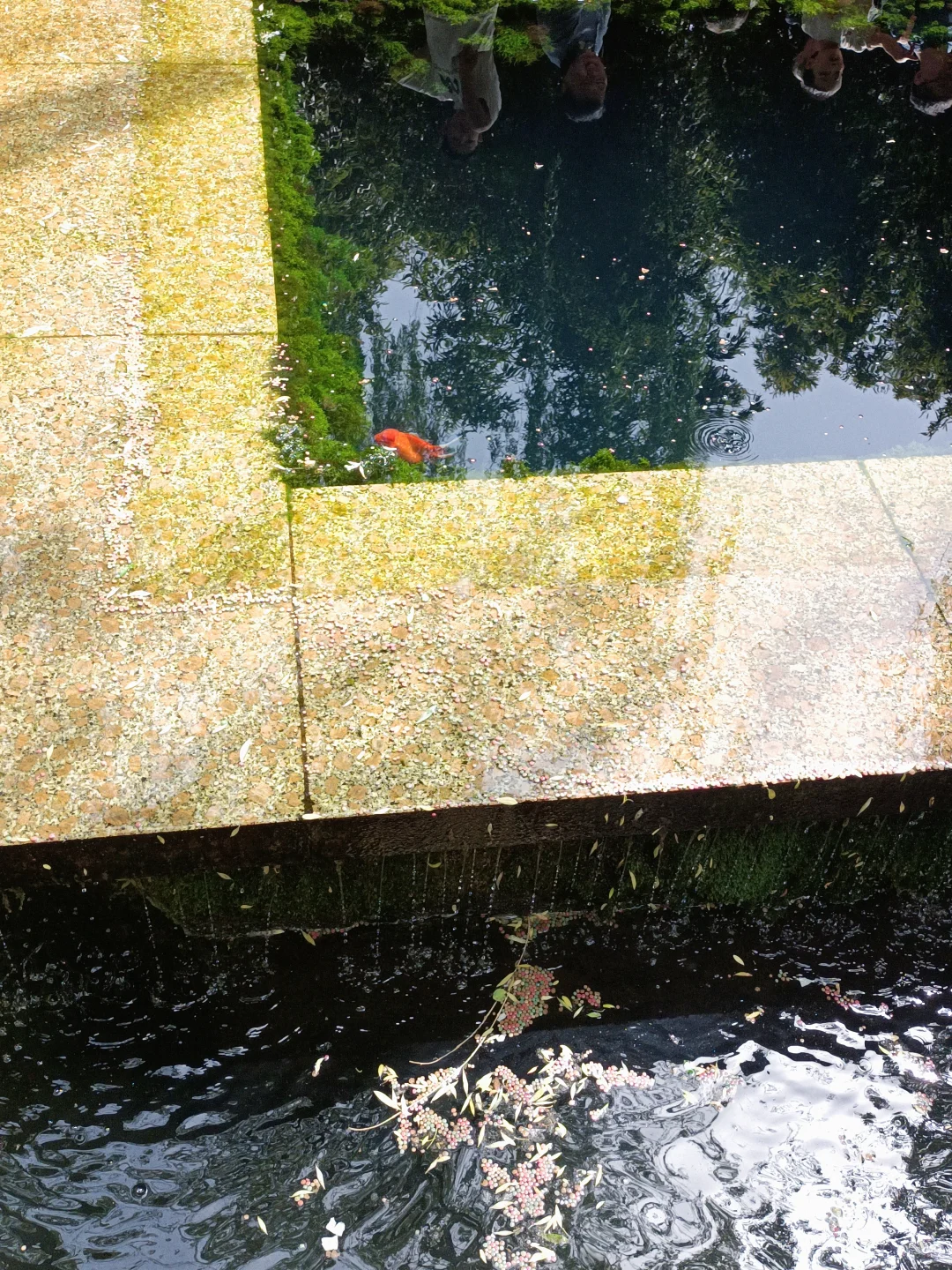 小城济南的1️⃣日游