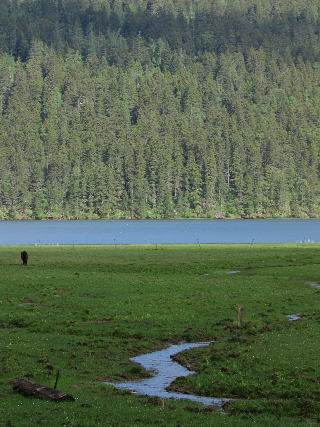 普达措｜轻松美丽，国家公园就是我的信仰
